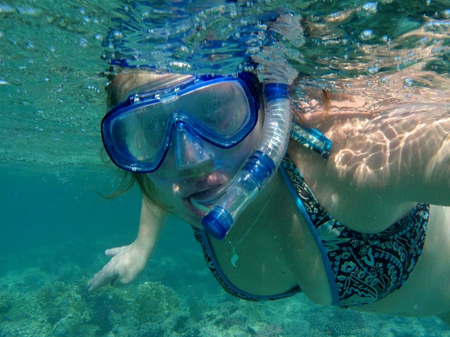 Fra nybegynder til dykkerpro: Speedos dykkerbriller tilpasser sig dit niveau